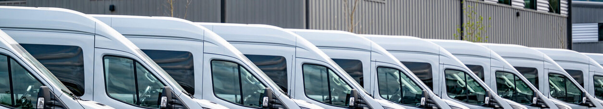 Auction & Private Sales