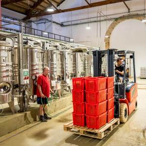 Agriculture & Forestry